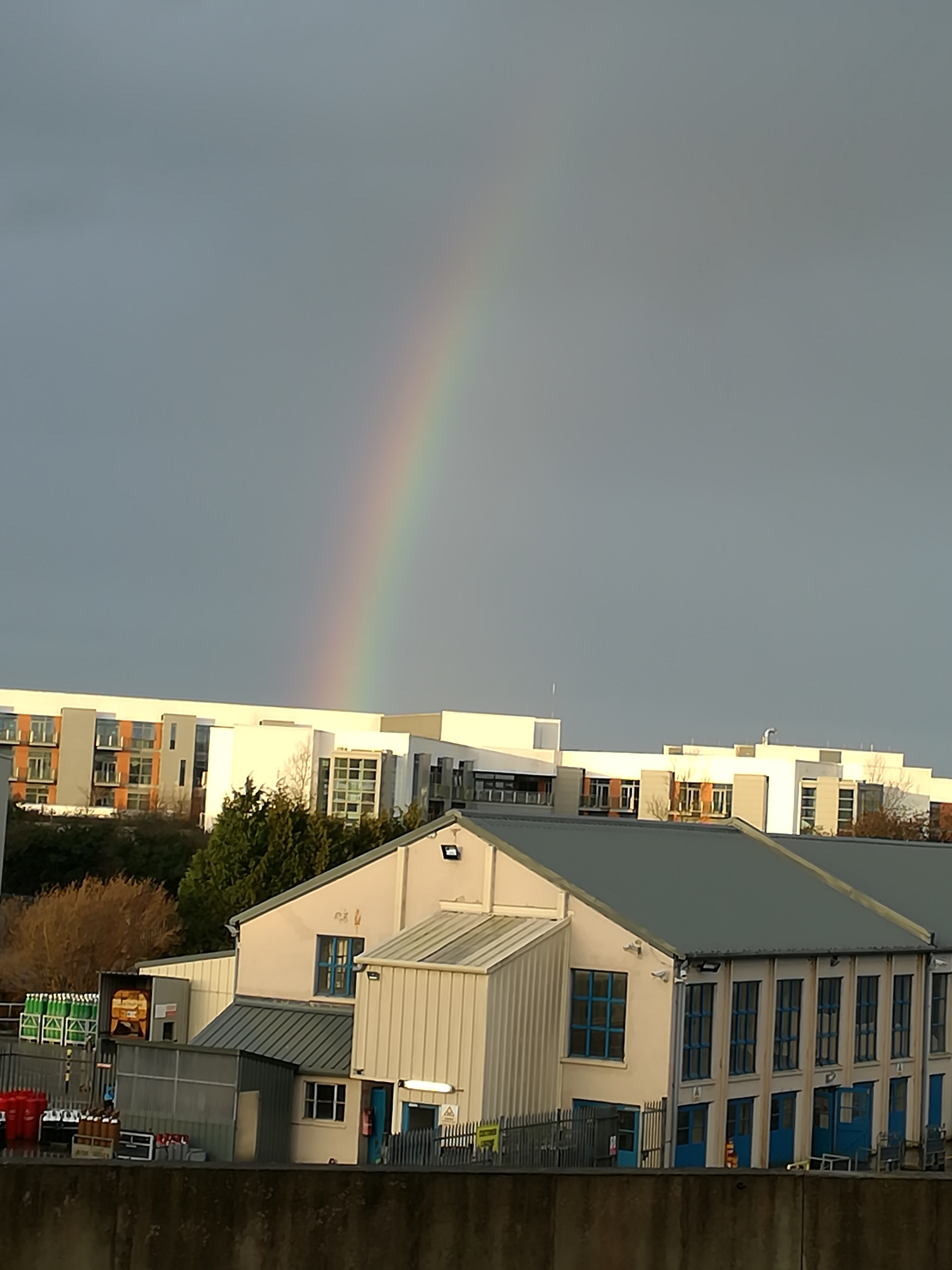 20161222 IOC Rainbow_092102.jpg